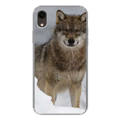 Produktbild von MuchoWow® Handyhülle Schutzhülle Hülle für iPhone XR Wolf - Schnee - Tiere Silikon Softcase Handy Hülle - Schutzdeckel