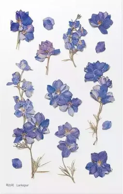Image de Stickers décoratifs Fleurs Fée