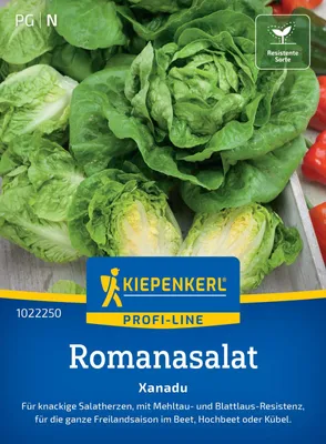 Artikelbild 2 von 'Romanasalat Xanadu' aus der Kategorie Kopfsalatsamen