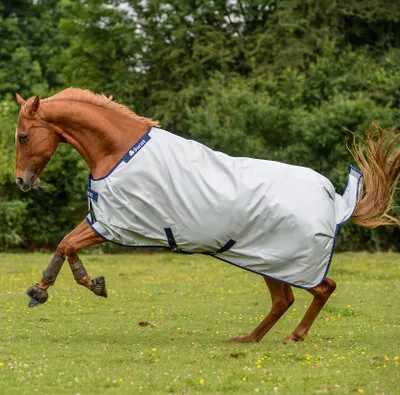 A brown horse wearing a gray turnout blanket is running in a grassy field with trees in the background.