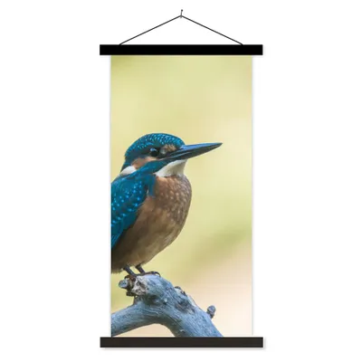 Produktbild von MuchoWow® Textilposter Eisvogel - Zweig - Vogel 90x180 cm mit schwarzem Rahmen - Dekoration Wohnzimmer