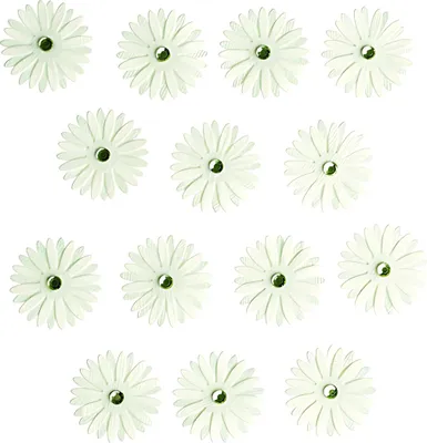 Produktbild von ROESSLER PAPIER Sticker Einzelblüten zartgrün