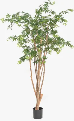 Produktbild von artplants.de Japanischer Kunst Ahornbaum ILIANU, Echtstämme, grün, 180cm - Kunstpflanze Ahorn