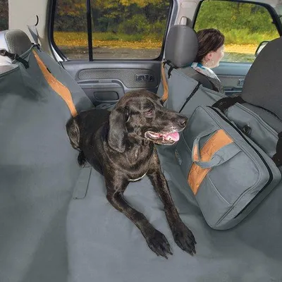 Produktbild von Famanu Autoschutzhülle für Haustiere - Wasserabweisend, umkehrbar, 140 cm breit