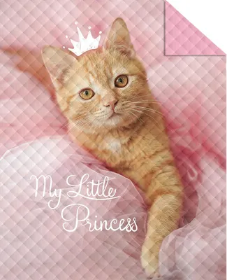 Obrázok produktu pre Prikrývka pre mladých 170X210 Kitten Princess