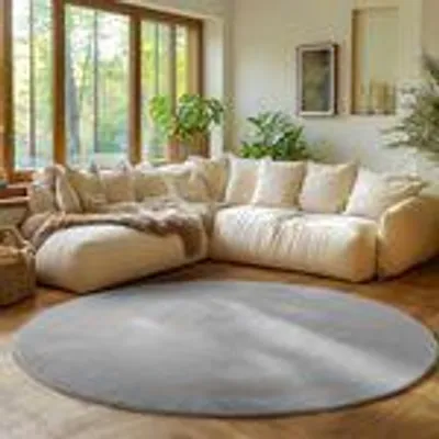 A living room scene with a sectional sofa and a round rug.