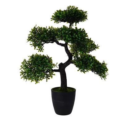 Immagine prodotto di Albero Progarden Bonsai in vaso verde nero 50 cm x 32 cm