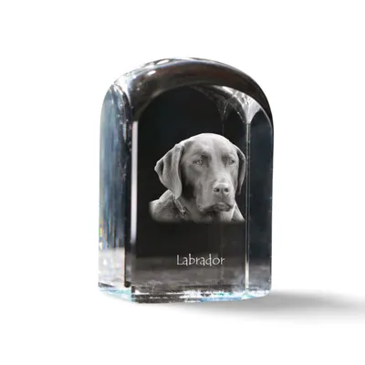 Image de Labrador retriever - cube en cristal avec photo, photo du chien dans le cristal, bouton cubique sur papier de la marque Art-Dog