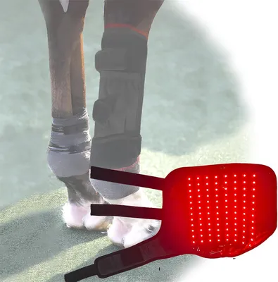 Produktbild von Infrarot Therapie Pferd mit LED Rotlicht, Pferde Beinband für Lichttherapie, 3 Modi 660nm 850nm zur Unterstützung der Regeneration