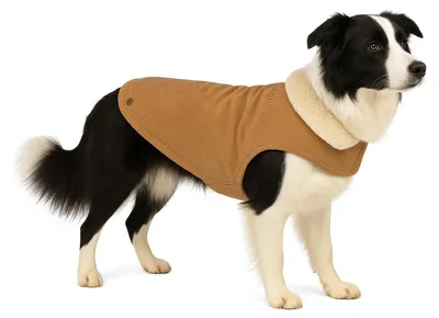 Immagine prodotto di Cappotto per cani Flamingo Endor beige, lunghezza dorso: 50 cm