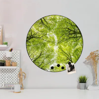Produktbild von Design Stahlmagnettafel Schwarz Rund 47cm Zwischen Bäumen