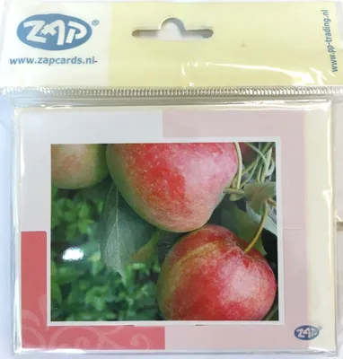 Produktbild von Ohne Text - Minikarte – 9 x 7,8 cm – mit Briefumschlag – Äpfel