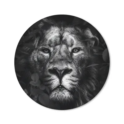 Produktbild von MuchoWow® Mauspad Mousepad Löwe - Tiere - Dschungel - Schwarz - Weiß 40x40 cm - Mousepads - Maus Mat - Pad - Mausunterlage - Schreibtisch Accessoires