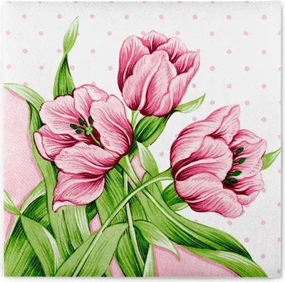 Produktbild von Airlaid Serviette Elsa, 40 x 40 cm, 50 Stück - Mank