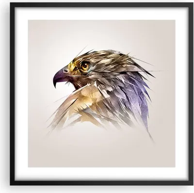 Produktbild von Gerahmtes Poster - Schwarzer Rahmen - Adler Vogel Feder - 50x50 cm - Wand Bild - Wanddeko - Wandbilder - Kunstposter - Wandposter - Bilderrahmen - Bilder - Kunstdruck - Wandbild - P2BAC50x50-3936