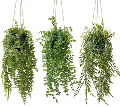 Produktbild von Unyqoos® Set mit 3 hängenden Kunstpflanzen für stilvolle Innen- und Außendekoration