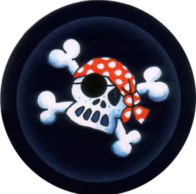 Produktbild von LUTZ MAUDER Kindergeburtstag Partyteller Jolly Roger