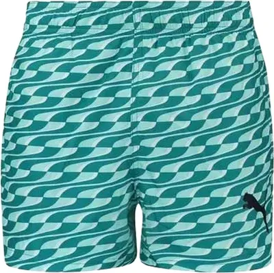 Obrázek produktu pro Kraťasy Puma 701221758-002 pro Pánské