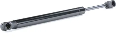 Produktbild von RIDEX 219G0795 Gasfeder Heckklappendämpfer für CITROËN C4 I (LC) 313,5mm