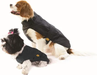 Produktbild von Fashion Dog Regenmantel für Hunde - Schwarz - 27 cm