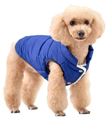 Zdjęcie produktu dla Czerwona zimowa kurtka dla psa Woof Woof, rozmiar XL