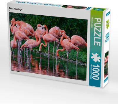 Produktbild von CALVENDO Puzzle Rosa Flamingo | 1000 Teile Lege-Größe 64x48cm Foto-Puzzle für glückliche Stunden