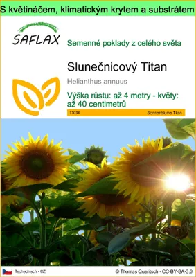 Obrázek produktu pro SAFLAX Garden to go - Slunečnicový Titan - Helianthus annuus - 20 Semena - S květináčem, klimatickou poklicí a pěstebním substrátem