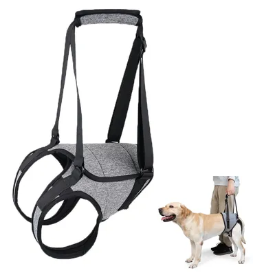 Image de Harnais de soutien pour chiens handicapés (taille S)