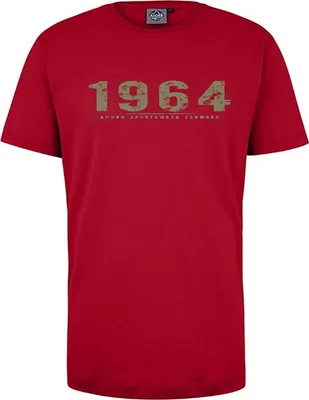 Produktbild von Übergrößen T-Shirt Vintage Number rauchgrün AHORN SPORTSWEAR Cayenne Red 4XL