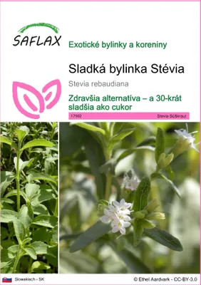 Obrázok produktu pre SAFLAX - Sladká bylinka Stévia - Stevia rebaudiana - 100 Semená