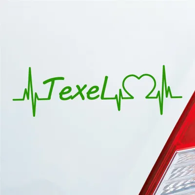 Produktbild von Auto Aufkleber Texel Puls Herzschlag mit Insel Motiv 19x6 cm Hellgrün Sticker Heckscheibenaufkleber