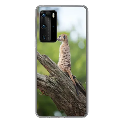 Produktbild von MuchoWow® Handyhülle Schutzhülle Hülle für Huawei P40 Pro Erdmännchen - Ast - Baum Silikon Softcase Handy Hülle - Schutz
