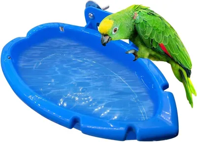 Imagen del producto de Bañera para aves, multifuncional, fabricada con materiales no tóxicos, ideal para el cuidado de aves