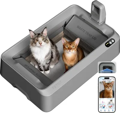 Image de Litière autonettoyante pour chats - Litière automatique pour chats - Litière intelligente pour chats - Litière hygiénique pour chats - Litière ouverte pour chats