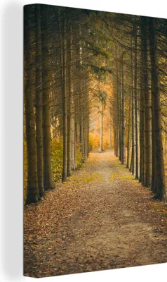 Produktbild von MuchoWow® - Leinwandbilder - Pfad - Bäume - Wald, Wandbild, Wanddeko Bilder Wohnzimmer, 80x120 cm