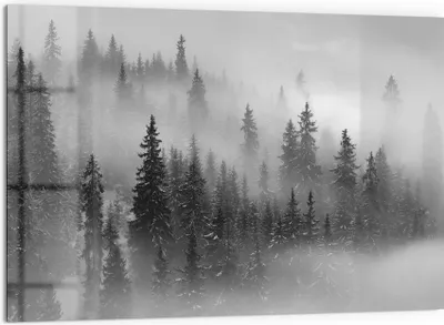 Produktbild von DEQORI Küchenrückwand Glas 60x40 cm 'Nebelwald Stille' Spritzschutz Bad Rückwand Küche