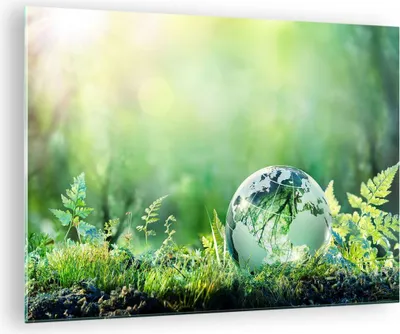 Produktbild von Bilder auf glas - natur natur - 70x50cm - Glasbilder - Wandbilder - Bilder - Kunstdruck - zum Aufhängen bereit - Wanddekoration aus Glas - Glas Bilder - Wandbild auf Glas - Einteilig - GAA70x50-4041