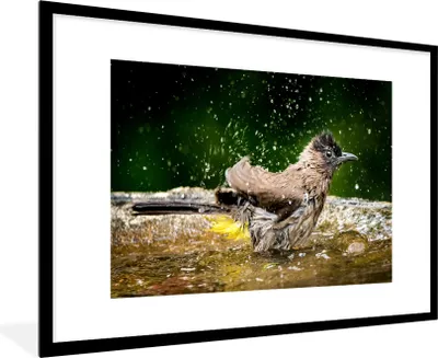 Produktbild von MuchoWow® MuchoWow® Gerahmtes Poster Vogel - Vogeltränke - Wasser 90x60 cm - Poster mit zchwarzem Bilderrahmen - Wanddekoration - Fotos