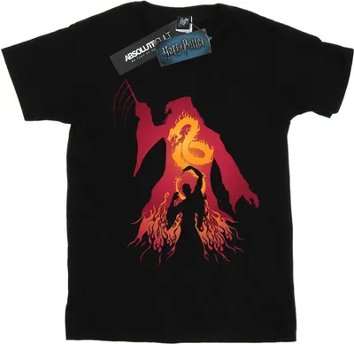 Produktbild von Harry Potter - T-Shirt für Herren BI29620 (L) (Schwarz)
