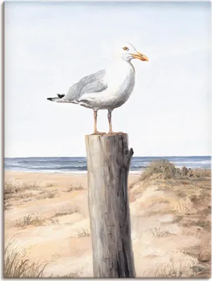 Produktbild von ARTland Leinwandbild Möwe Größe: 30x40 cm