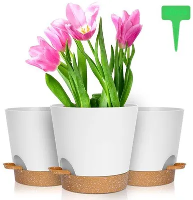 Produktbild von Selbstwassernde Pflanzentöpfe Set von 3 - 20 x 19 cm