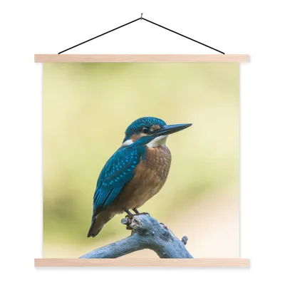 Produktbild von MuchoWow® Textilposter Eisvogel - Zweig - Vogel 40x40 cm mit holzfarbenen Rahmen - Posterleiste