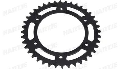 Immagine prodotto di Pignone ESJOT "32168" 520, acciaio 40 denti