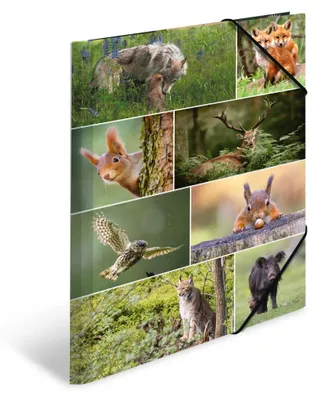 Produktbild von HERMA Sammelmappe A3 Waldtiere, A3, Lagerung, Mehrfarbig