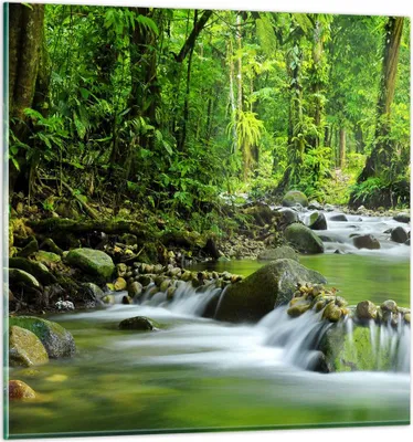 Produktbild von Bilder auf glas - Stream Wald Natur - 60x60cm - Glasbilder - Wandbilder - Kunstdruck - zum Aufhängen bereit - Wanddekoration aus Glas - Glas Bilder - Wandbild auf Glas - Einteilig - GAC60x60-0174