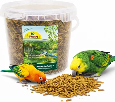 Zdjęcie produktu dla JR FARM Larwy Mącznika | Naturalne Białko dla wszystkich papug | Mącznik WIADERKO 400g