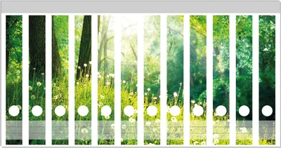 Produktbild von Wallario Ordnerrücken Sticker, selbstklebend für schmale Ordner, 12 Stück, Motiv Pusteblumen im Wald mit einfallenden Sonnenstrahlen