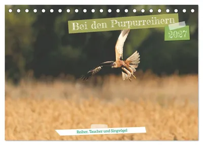 Produktbild von Bei den Purpurreihern (Tischkalender 2027 DIN A5 quer), CALVENDO Monatskalender