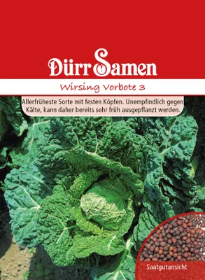 Produktbild von Wirsing Vorbote 3 | Wirsingsamen von Dürr Samen