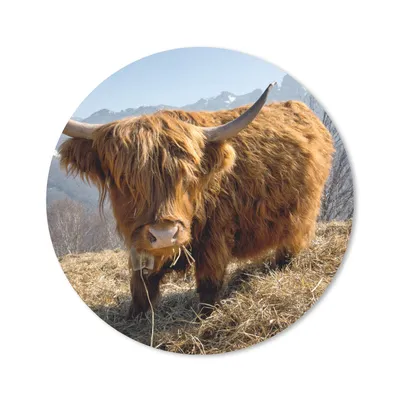 Produktbild von MuchoWow® Mauspad Mousepad Schottischer Highlander - Berg - Schnee 30x30 cm - Mousepads - Maus Mat - Pad - Mausunterlage - Tischunterlage - Schreibtischmatten